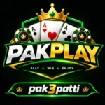 PAKPLAY GAME